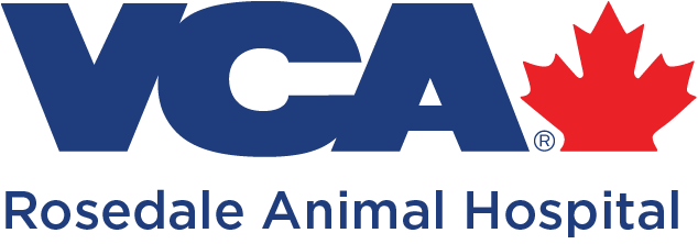 Rosedale Animal Hospital